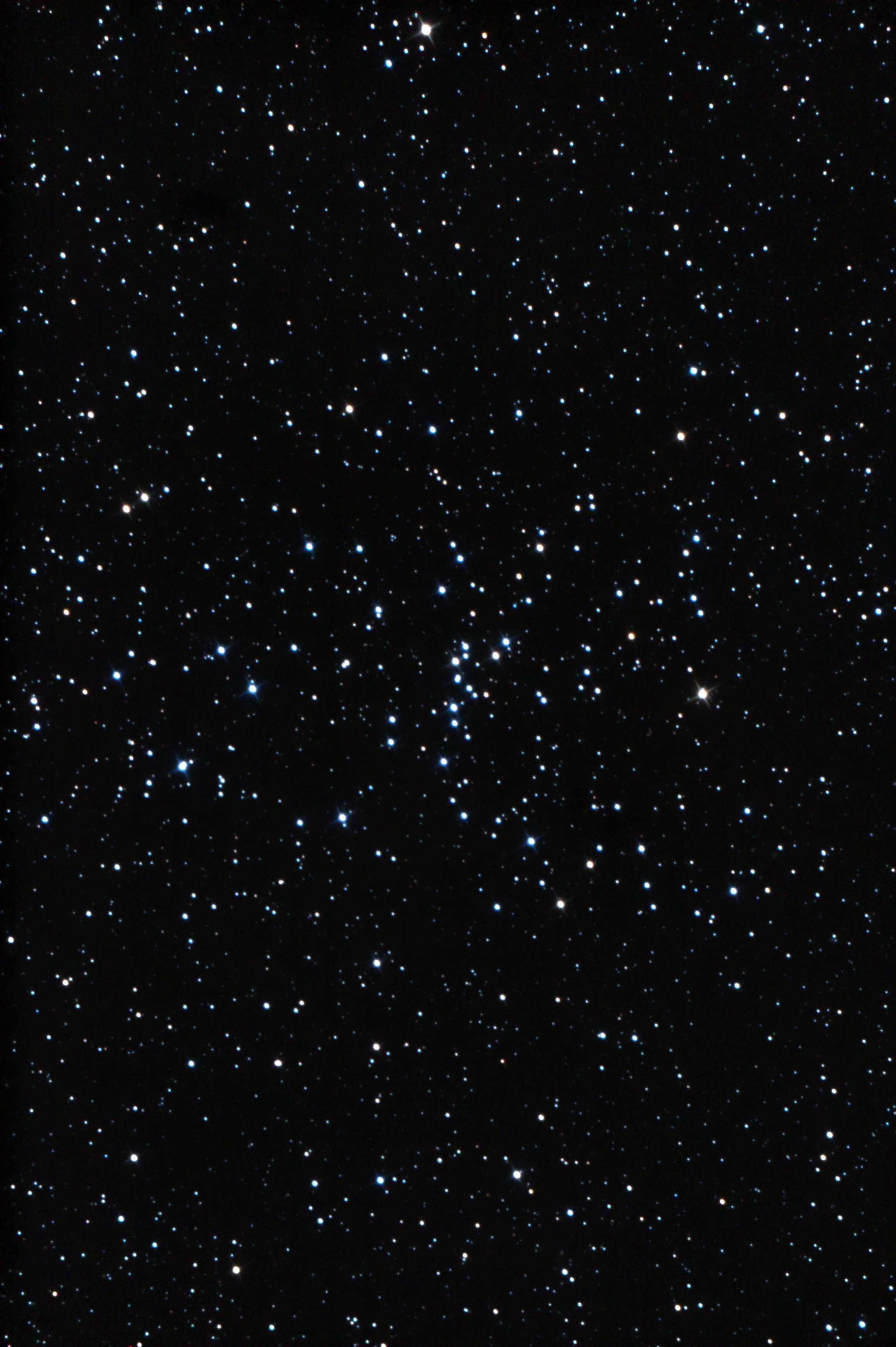 M48_2008_02_11_merge1_bearb1.jpg