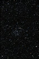 images/astrophotos/deepsky/thumbs/M50_2008_02_11_merge1_bearb1.jpg