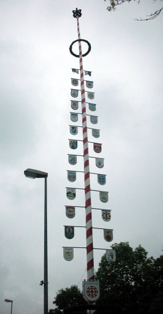 Roter Maibaum