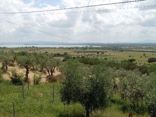 Trasimeno-See